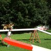 agility 2011-08